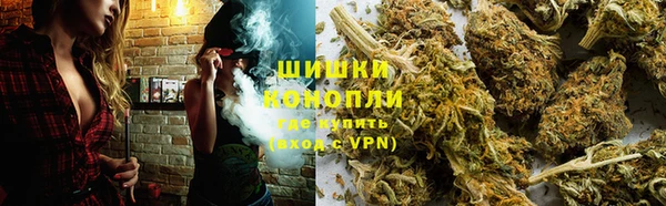 ПСИЛОЦИБИНОВЫЕ ГРИБЫ Алзамай