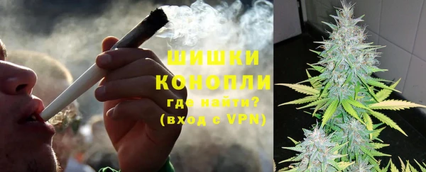 ПСИЛОЦИБИНОВЫЕ ГРИБЫ Алзамай