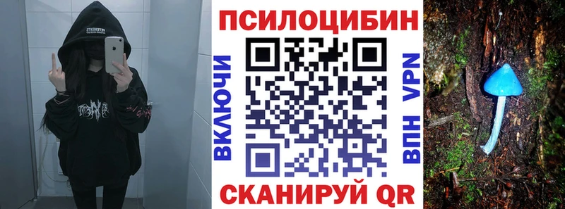 где купить наркоту  Ядрин  Галлюциногенные грибы Psilocybine cubensis 